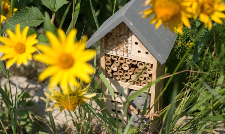 Bienenhotel auf einem Bienenlehrpfad