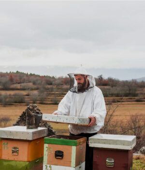 Bienenlehrpfad